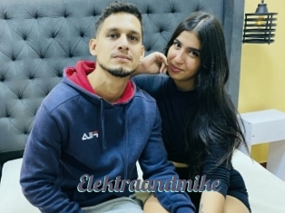 Elektraandmike