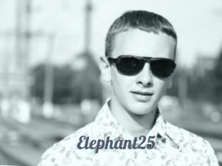 Elephant25