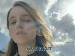 Elvabucher