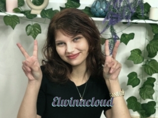 Elwinacloud