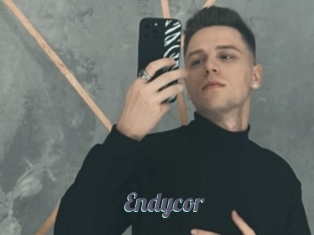 Endycor