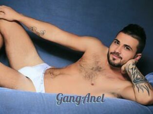 GangAnel
