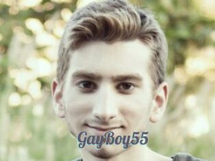 GayBoy55