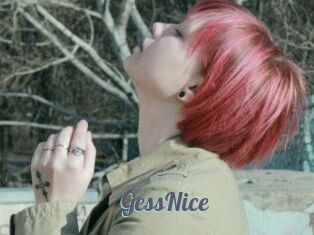 GessNice