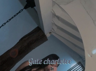 Gate_charlotee