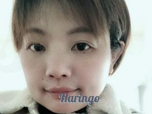 Haringo