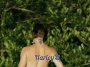 HarleyM