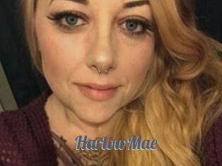 HarlowMae