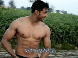 HarrysStick