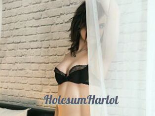 HolesumHarlot