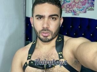 Hairyboyx