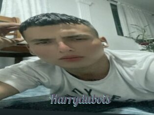 Harrydubois