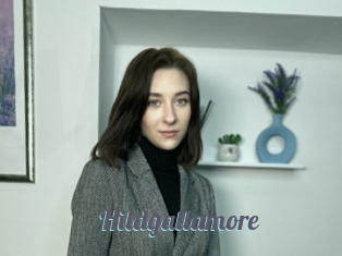 Hildgallamore
