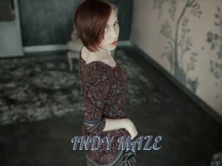 INDY_MAZE