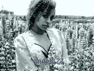 Indigo_22