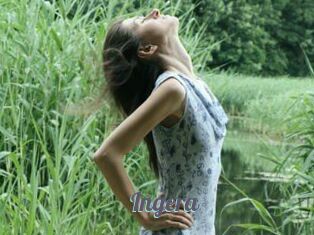 Ingera