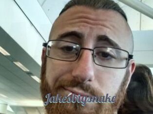 Jakesbigsnake