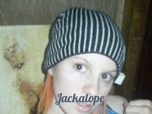 Jackalope