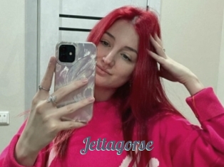 Jettagorse