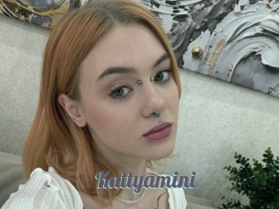 Kattyamini