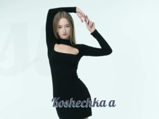 Koshechka_a
