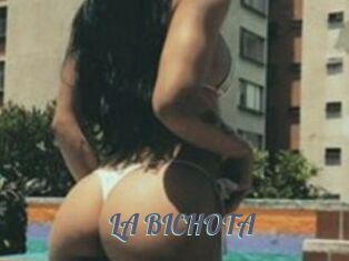 LA_BICHOTA