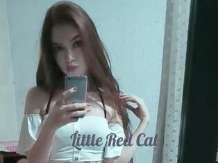 Little_Red_Cat