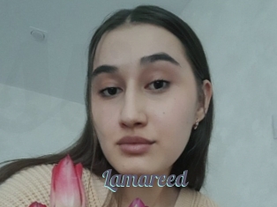 Lamareed