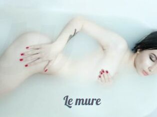 Le_mure