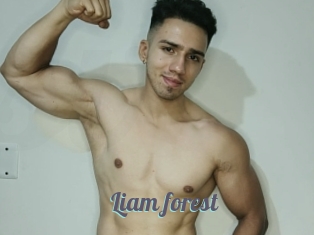 Liam_forest