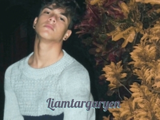 Liamtargaryen