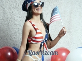 Liaortizcam
