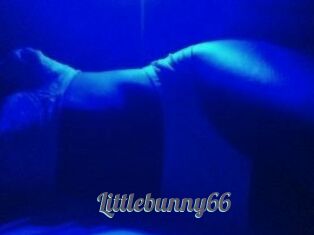 Littlebunny66
