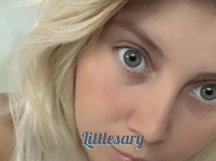 littlesary Sexe Videos Gratuites