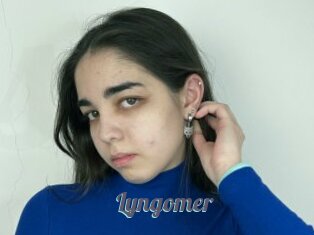 Lyngomer