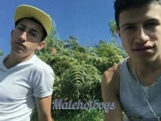 Malehotboys