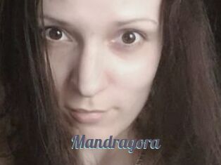 Mandragora