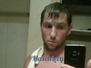 Mason_Levy