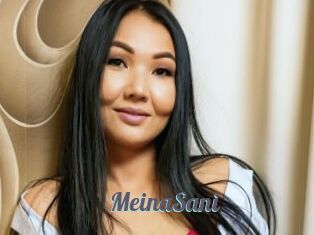 MeinaSani