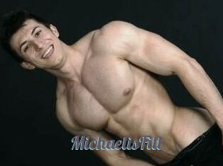 MichaelisFitt