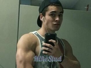 MikeStud