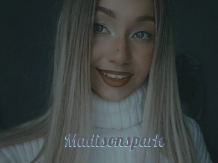 Madisonspark