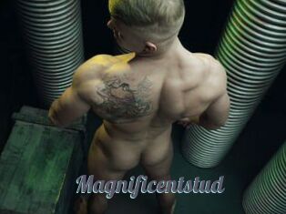 Magnificentstud