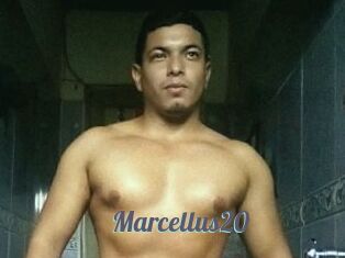 Marcellus20