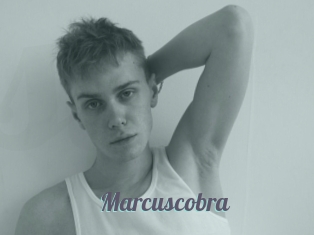 marcuscobra Sexe Videos Gratuites