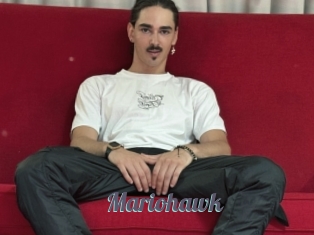 Mariohawk