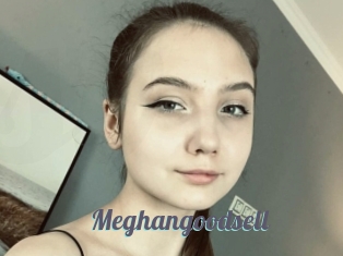 Meghangoodsell