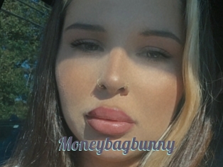 Moneybagbunny