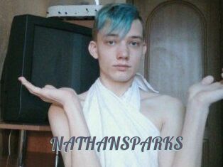 NATHAN_SPARKS