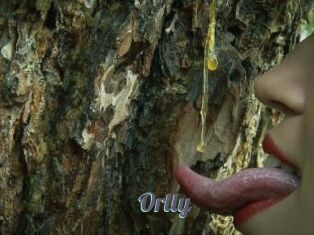 Orlly